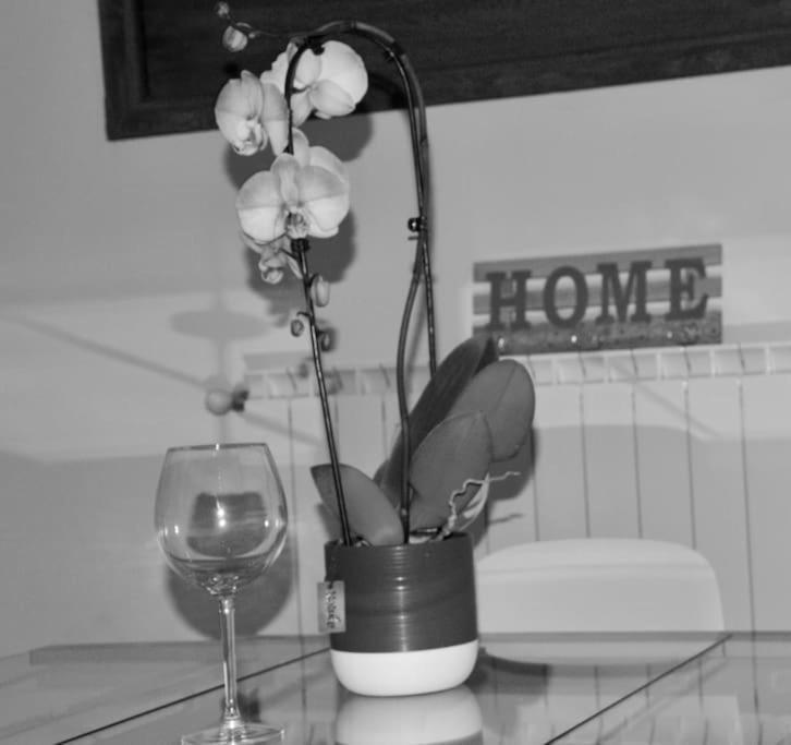 Brand New Apartment ฟลอเรนซ์ ภายนอก รูปภาพ